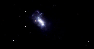 Caldwell 21 "Box Galaxy" also known as NGC 4449