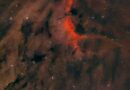 IC5070 Pelican Nebula Seestar 50