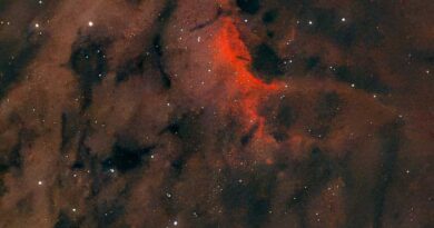 IC5070 Pelican Nebula Seestar 50
