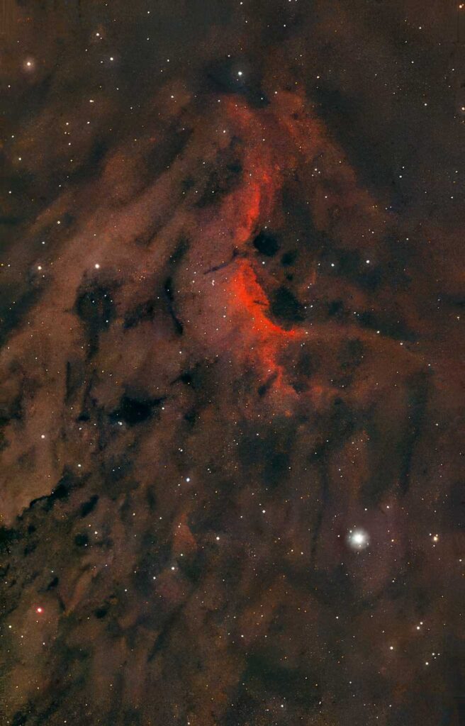 IC5070 Pelican Nebula Seestar 50