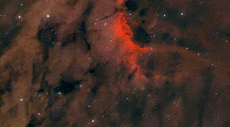 IC5070 Pelican Nebula Seestar 50