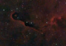 IC 1396 Elephants Trunk Nebula Seestar 50