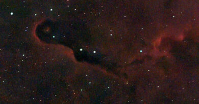 IC 1396 Elephants Trunk Nebula Seestar 50