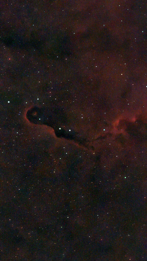 IC 1396 Elephants Trunk Nebula Seestar 50