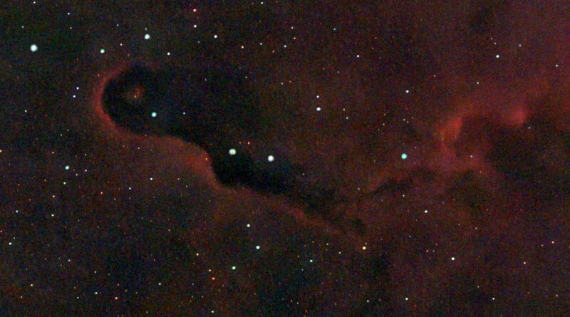 IC 1396 Elephants Trunk Nebula Seestar 50