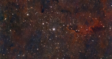 IC 1396 Elephants Trunk Nebula on Dwarf Mini