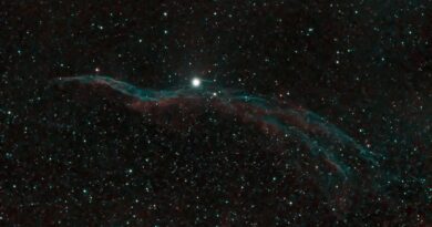 NJC 6990 Witches Broom Nebula Seestar S50