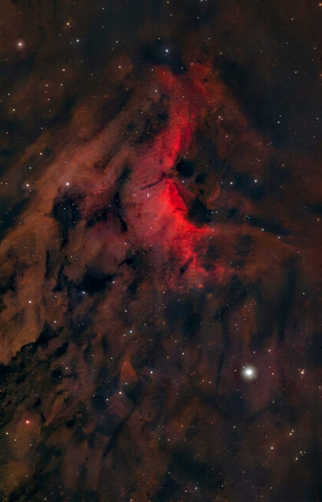 IC5070 Pelican Nebula Seestar 50