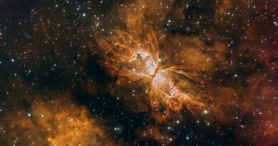 NGC6302 Seestar AI